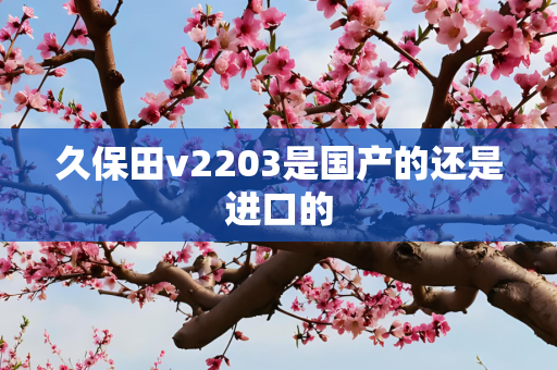 久保田v2203是国产的还是进口的