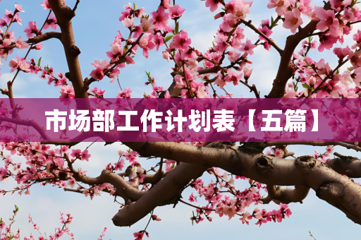 市场部工作计划表【五篇】