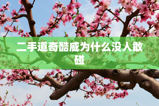 二手道奇酷威为什么没人敢碰