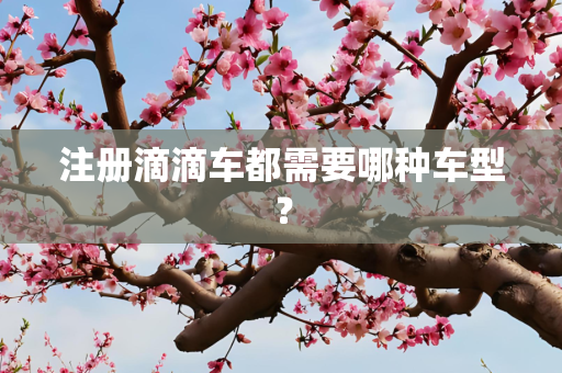 注册滴滴车都需要哪种车型？