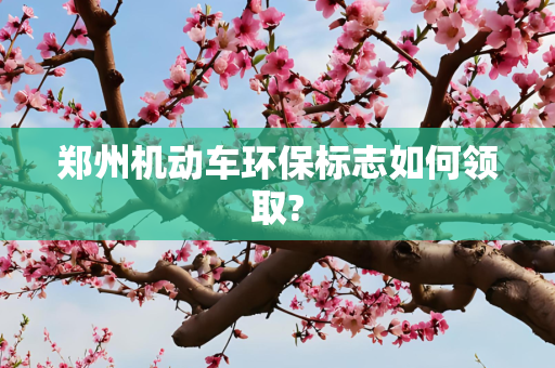 郑州机动车环保标志如何领取?