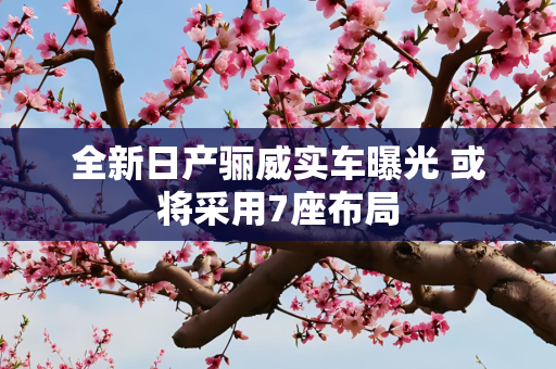 全新日产骊威实车曝光 或将采用7座布局