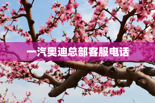 一汽奥迪总部客服电话