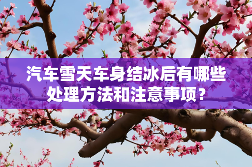 汽车雪天车身结冰后有哪些处理方法和注意事项？