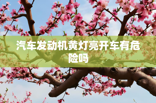 汽车发动机黄灯亮开车有危险吗