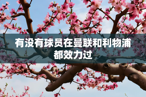 有没有球员在曼联和利物浦都效力过