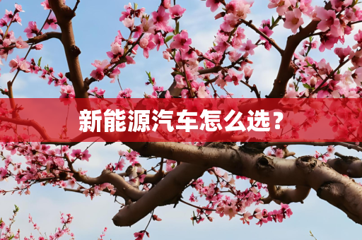 信息 第240页