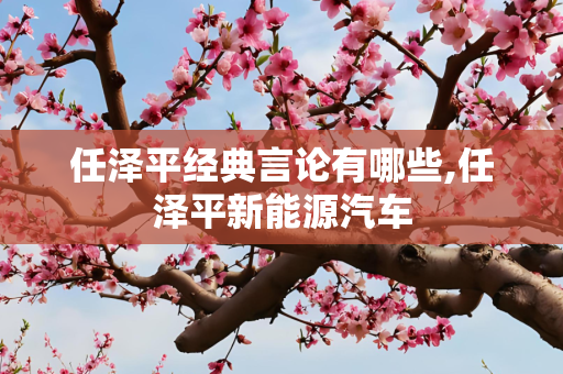 任泽平经典言论有哪些,任泽平新能源汽车