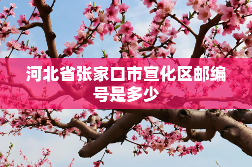 河北省张家口市宣化区邮编号是多少