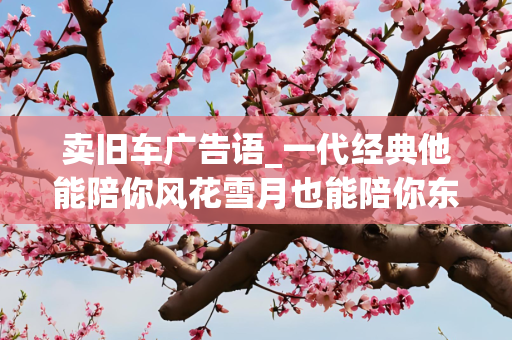 卖旧车广告语_一代经典他能陪你风花雪月也能陪你东山再起是哪个广告词
