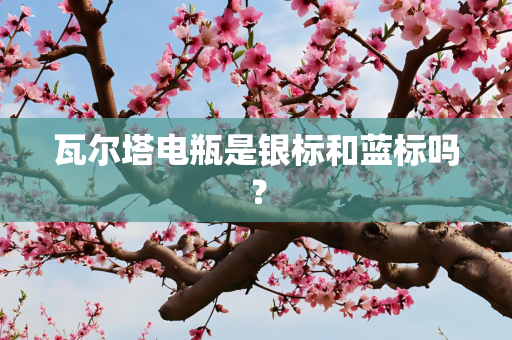 瓦尔塔电瓶是银标和蓝标吗？