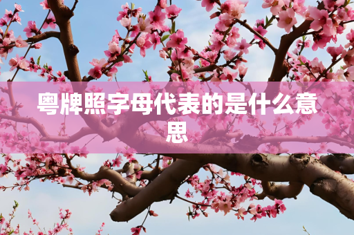 粤牌照字母代表的是什么意思