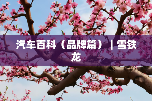 汽车百科（品牌篇）｜雪铁龙