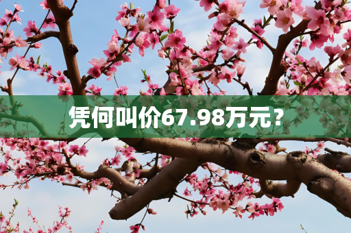 凭何叫价67.98万元？