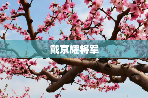 戴京耀将军