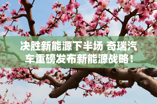决胜新能源下半场 奇瑞汽车重磅发布新能源战略！