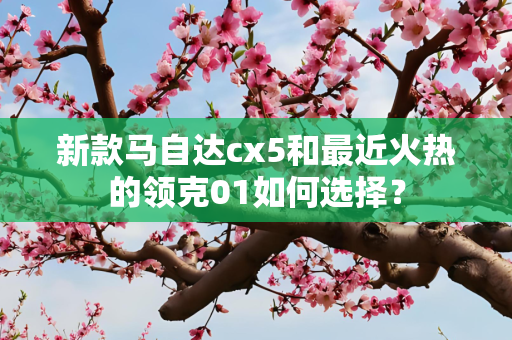 新款马自达cx5和最近火热的领克01如何选择？