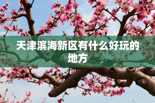 天津滨海新区有什么好玩的地方