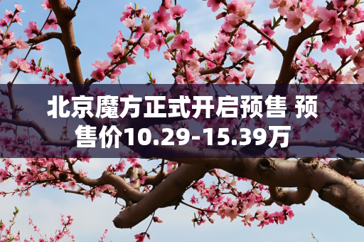 北京魔方正式开启预售 预售价10.29-15.39万