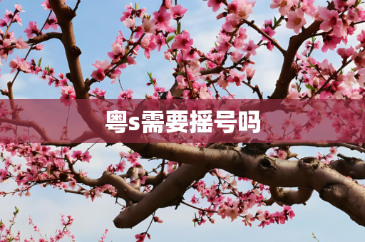 粤s需要摇号吗