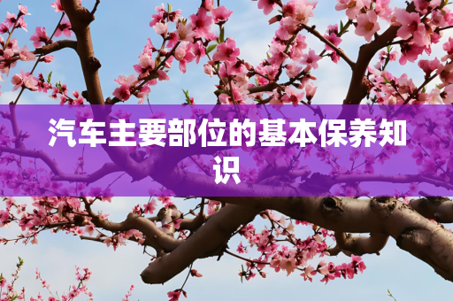 汽车主要部位的基本保养知识