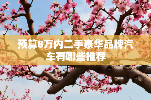 预算8万内二手豪华品牌汽车有哪些推荐