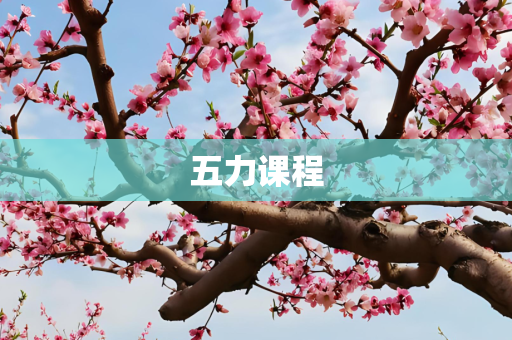 五力课程