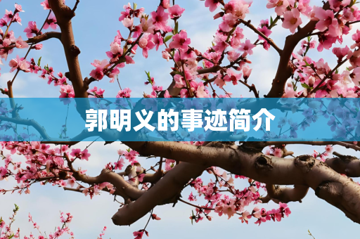 郭明义的事迹简介