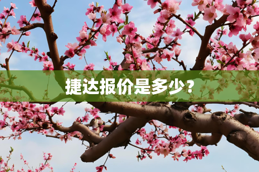 生活 第278页