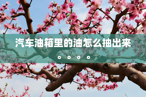 汽车油箱里的油怎么抽出来。。。。