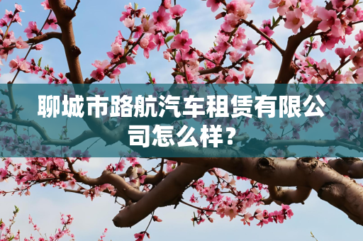 聊城市路航汽车租赁有限公司怎么样？