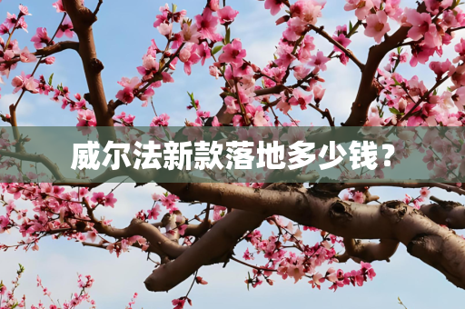 威尔法新款落地多少钱？