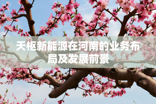 3838px 第1987页