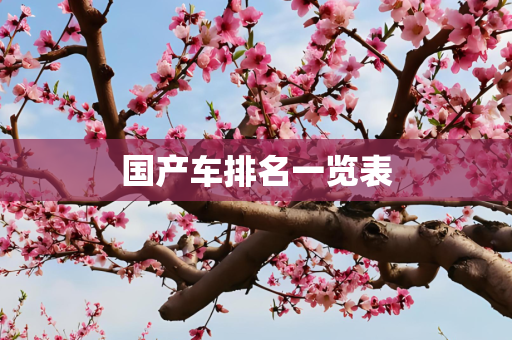 国产车排名一览表