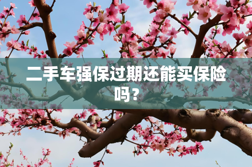 二手车强保过期还能买保险吗？