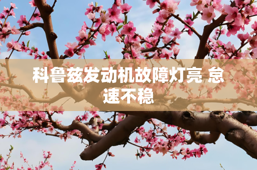 科鲁兹发动机故障灯亮 怠速不稳