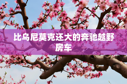 比乌尼莫克还大的奔驰越野房车