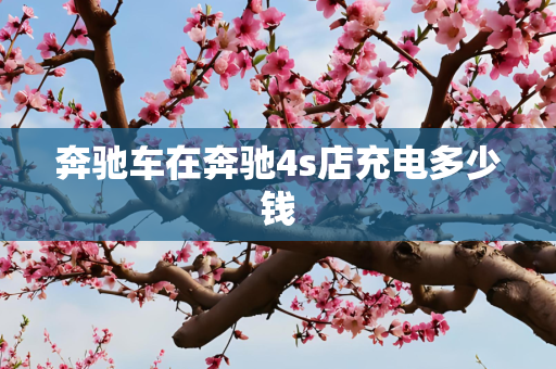 奔驰车在奔驰4s店充电多少钱