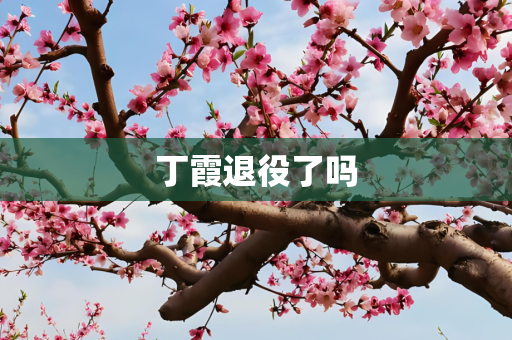 丁霞退役了吗