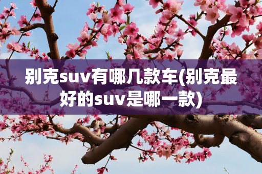 别克suv有哪几款车(别克最好的suv是哪一款)