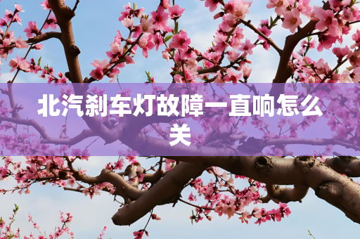 北汽刹车灯故障一直响怎么关