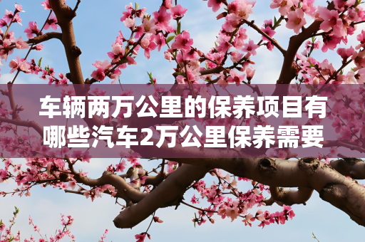 生活 第240页