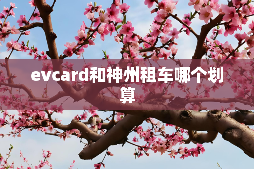 evcard和神州租车哪个划算