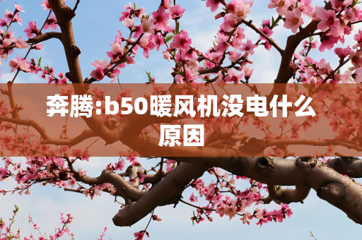 奔腾:b50暖风机没电什么原因