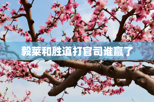 毅莱和胜道打官司谁赢了