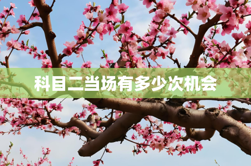 科目二当场有多少次机会