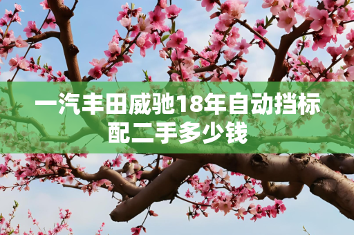 一汽丰田威驰18年自动挡标配二手多少钱
