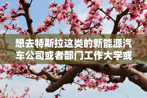 想去特斯拉这类的新能源汽车公司或者部门工作大学或者研究生要学习哪方面的专业？