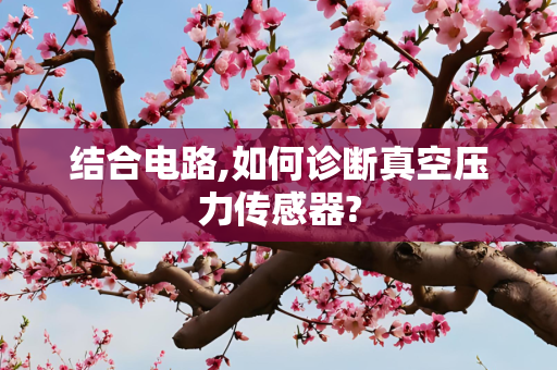 结合电路,如何诊断真空压力传感器?