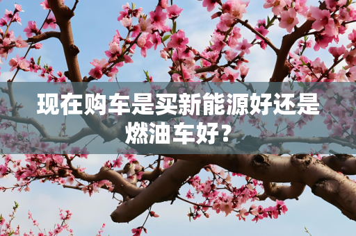 现在购车是买新能源好还是燃油车好？